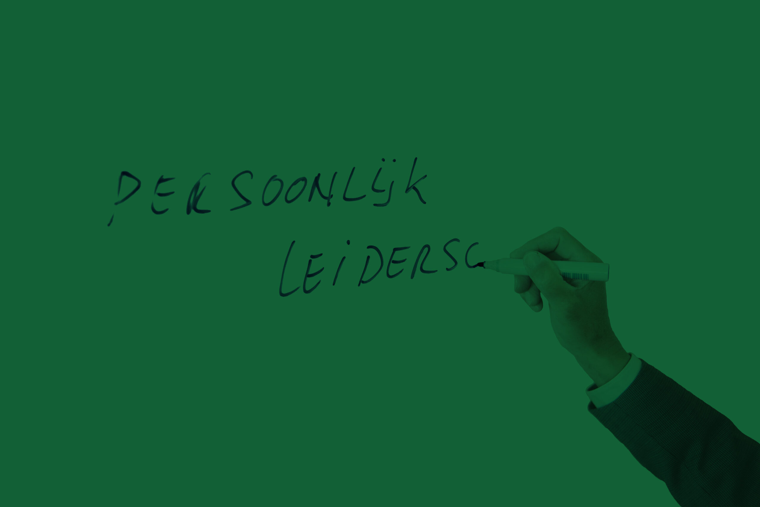 Persoonlijk leiderschap